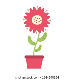 potted flower decoration