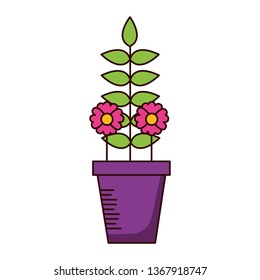 potted flower decoration
