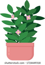 flor maceta en una planta interior de estilo plano