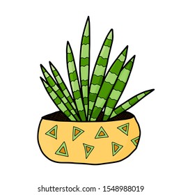 Potted flower with geometric pattern. Hand-drawn vector illustration. Bright, color image of cacti, scarlet and succulents in cartoons style. Design elements are isolated on a white background.