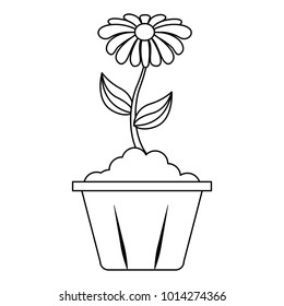 potted flower interior decoration garden spring