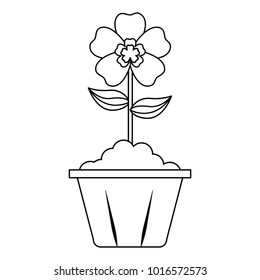 potted flower interior decoration garden spring