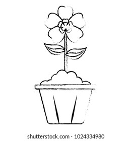 potted flower interior decoration garden spring