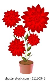 Potted flower, isolated object over white