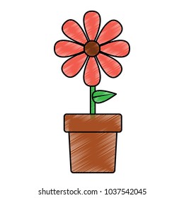 potted flower natural decoration interior vector illustration drawing image design