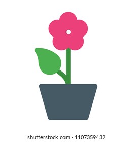 Potted Flower Plant