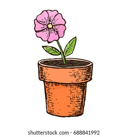 Potted flower in a pot, colorful sketch illustration. Vector