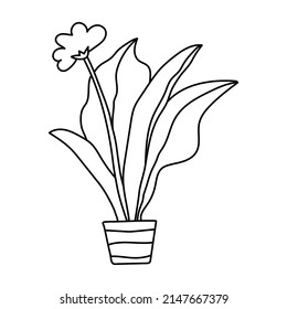 Potted flower sketch. Vector indoor plant in a pot. Doodle black and white outline illustration