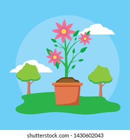 potted flower trees plants decoration gardening flat design vector illustration