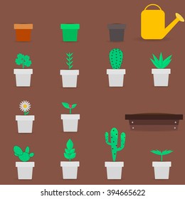 Potted flowers and cacti in pots. Set for your design. Simplicity and color combination. Vector illustration.