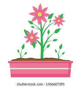 potted flowers decoration gardening flat design vector illustration