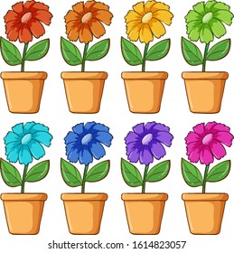 Potted flowers in different colors illustration