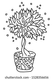 Potted flowers are drawn in doodle style. Flowers in pots painted black line on a white background. Decorative potted house plant sketch illustration for print, web, mobile, postcards, cover art