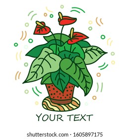 Potted flowers are drawn in doodle style. Flowers in pots painted in vibrant saturated colors. Decorative Anthurium house plant sketch illustration for print, web, mobile, postcards, cover art, site