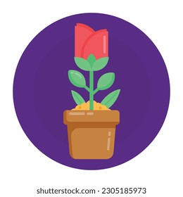 Potted flowers, flat rounded icon in editable style 