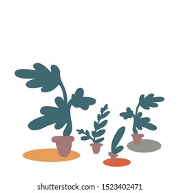 Potted flowers flat vector illustration.