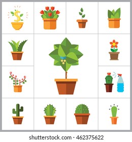 Potted Flowers Icon Set