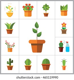 Potted Flowers Icon Set