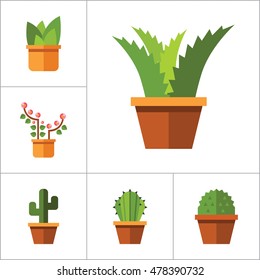 Potted Flowers Icon Set