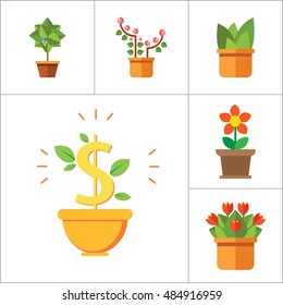 Potted Flowers Icon Set