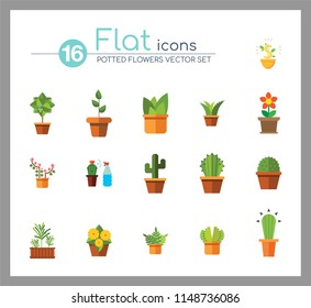 Potted Flowers Icon Set. Money Tree Cactus In Pot Cactus And Spray Bottle Plant Blooming Flower Chinese Peach Tree Cactus Red Flower Cactus In Flower Pot Tree In Pot Aloe Vera