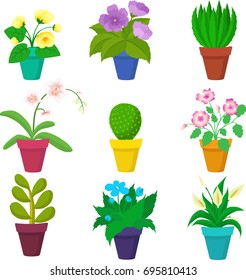 Potted flowers, isolated. Vector illustration.