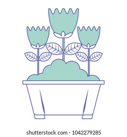 potted flowers natural decoration leaves plant