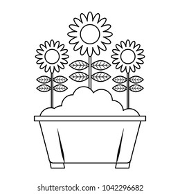 potted flowers natural decoration leaves plant