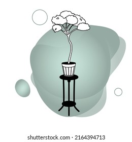 Potted flowers on a stand, home decor on a colored background. Hand-drawn, linear black-and-white sketch. Large indoor plants outdoors. Vector illustration