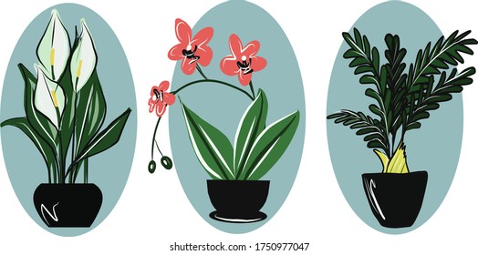 Flores posadas sobre un fondo blanco. Imágenes vectoriales aisladas.