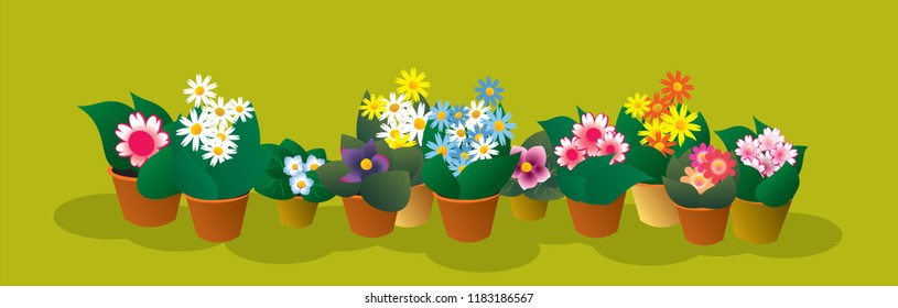 potted flowers. Set for illustration