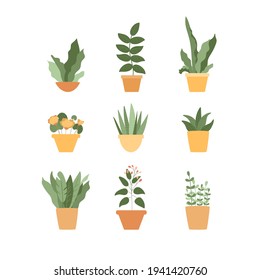 Potted flowers set isolated on white background. Houseplants collection, succulent, lush leaves, sprouts. Yellow and green colors. Vector illustration