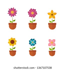potted flowers vector