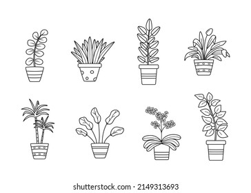 Flores potentes, ilustraciones vectoriales contorno íconos de doodle, ficus, dracaena, orquídea