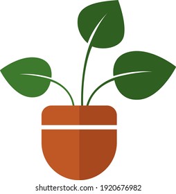 Potted green plant, illustration, vector on white background.