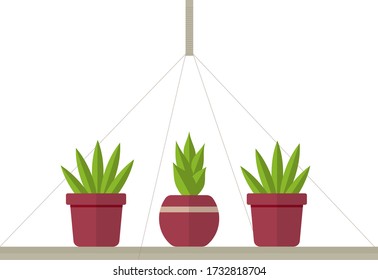 potted green plants isolated. Vector set green plant in pot, illustration of flowerpot hanged