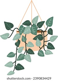 Potted Hanging Pothos Plant Illustration