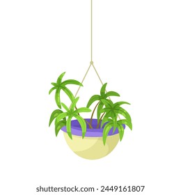 A potted hanging spider plant, with flat design style, on a white background, concept of indoor gardening. Vector illustration
