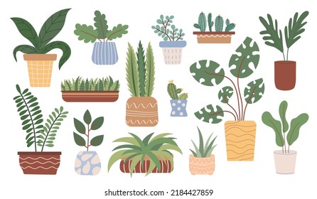 Potted hausplant set. Collection of succulents, cacti or green foliage plants growing in planters or flower pots. Vector illustration in flat style.