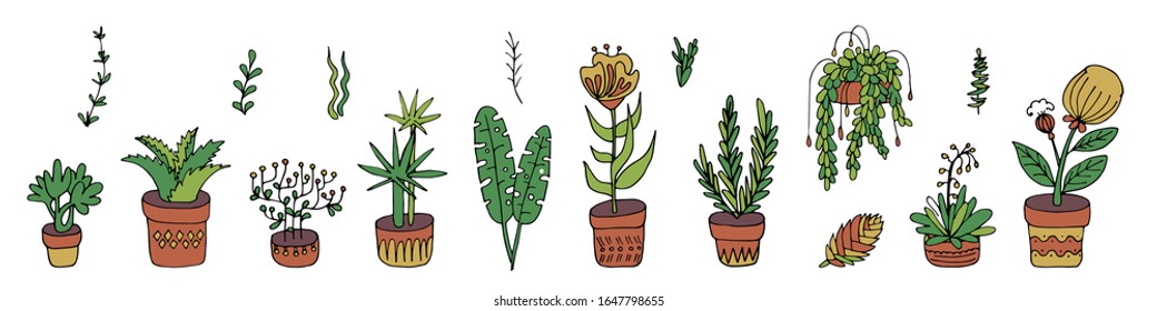 Potted home flowers. Aloe, palm tree, curly hanging flower. Individual elements of plants.Vector stock illustration hand-drawn. white isolated background. doodles. stylized plants, grass. planter