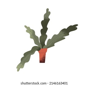 Potted home indoor plant with long leaf. House and office interior green decor. Abstract houseplant in clay flowerpot. Room foliage decoration. Flat vector illustration isolated on white background