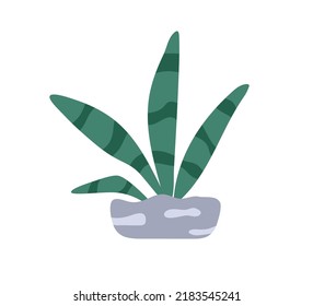Potted Home Plant. Interior Succulent With Leaf. Snake Tongue Houseplant Growing In Planter. Natural Green Sansevieria Decoration With Leaves. Flat Vector Illustration Isolated On White Background
