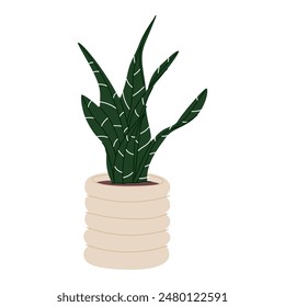 Potted home plant. Interior succulent with leaf. Snake tongue houseplant growing in planter. Natural green Sansevieria decoration with leaves. Flat vector illustration isolated on white background