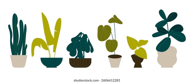 Potted home plants set. Abstract leaf houseplants, green interior decorations. Home and office decor growing in planters, house flowerpots. Flat vector illustrations isolated on white background