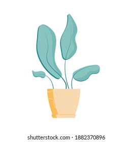 Potted house plant with big green leaves flat icon vector illustration