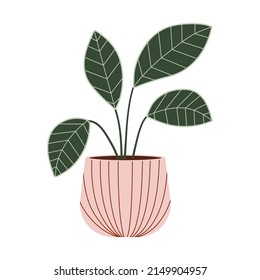 Potted house plant with big green leaf vector flat Illustration. Interior houseplant. Urban jungle decoration.