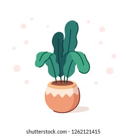 Potted house plant drawing in modern flat vector style. Isolated clip art illustration.