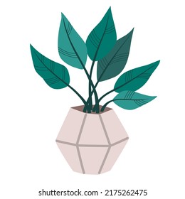 Potted house plant. Foliage houseplant growing in flowerpot. Green leaf decoration for home interior. Natural indoor decor. Hand draw vector illustration isolated on white background