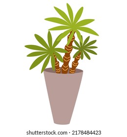 Potted house plant. Foliage houseplant growing in flowerpot. Green leaf decoration for home interior. Natural indoor decor. Hand draw vector illustration isolated on white background