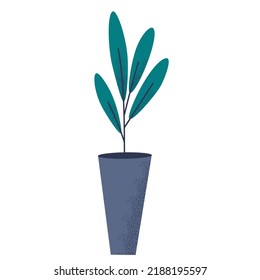 Potted house plant. Foliage houseplant growing in flowerpot. Green leaf decoration for home interior. Natural indoor decor. Hand draw vector illustration isolated on white background